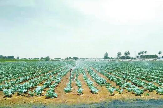 榆林推廣軟體集雨窖蓄水，實現(xiàn)節(jié)水灌溉