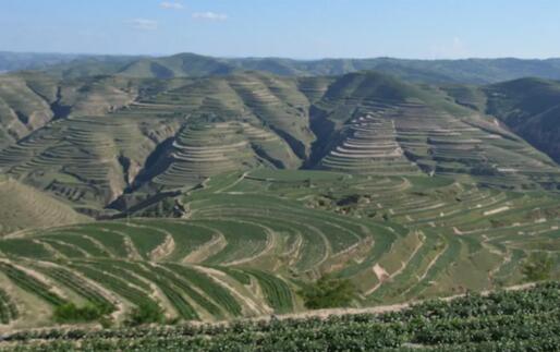 浙江大力發(fā)展種植智能化，應用水肥一體化等新技術