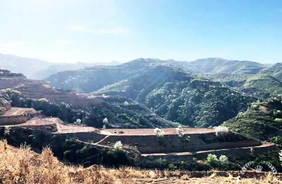 山西實施軟體水窖+水肥一體化，打造生態(tài)智慧果園